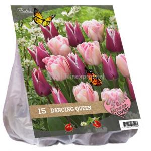 Baltus Urban Flowers Dancing queen bloembollen per 15 stuks